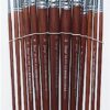 Bianyo Artist Brush Set of 13 Pieces
