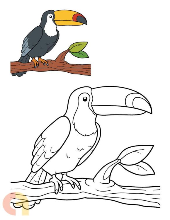 ⁦Birds Coloring Book⁩ - الصورة ⁦2⁩