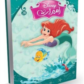 Disney Princesses Folder 28 Ar