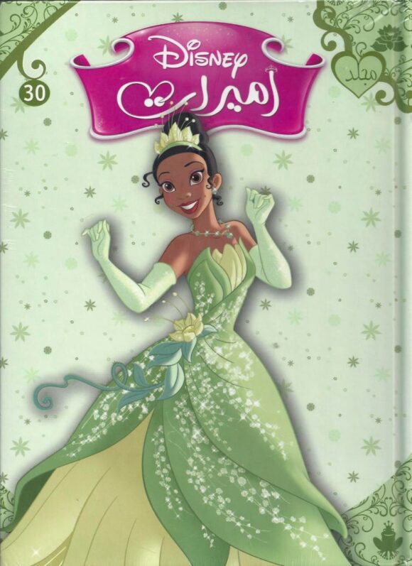 Disney Princesses Folder 30 Ar