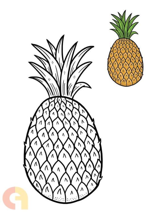 ⁦Fruits Coloring Book⁩ - الصورة ⁦3⁩