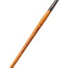 Stainless Steel Tweezers