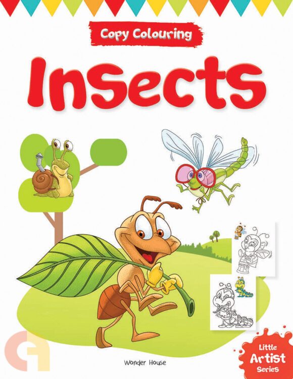Insects Coloring Book