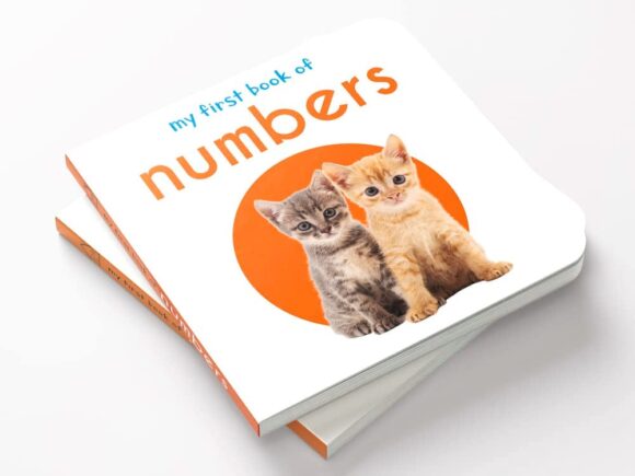 ⁦Numbers 1⁩ - الصورة ⁦2⁩