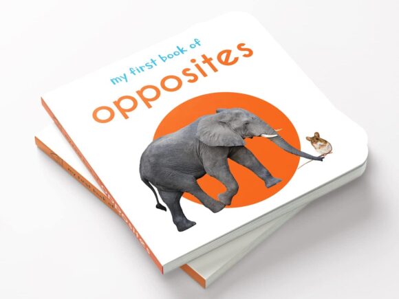 ⁦Opposites 1⁩ - الصورة ⁦2⁩