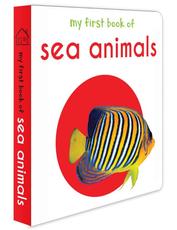 Sea Animals