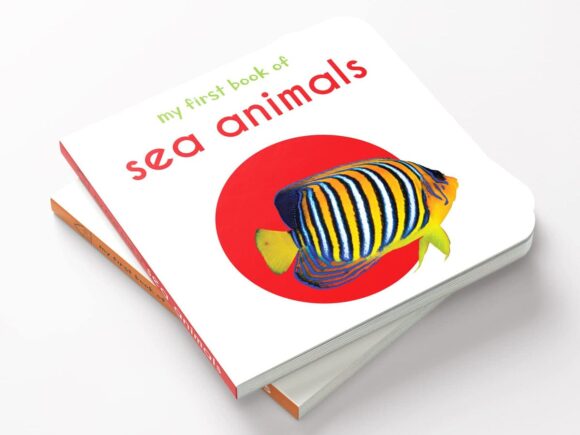 ⁦Sea Animals⁩ - الصورة ⁦2⁩