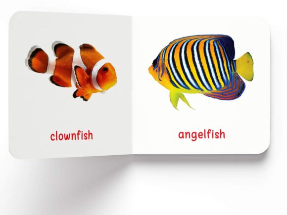 ⁦Sea Animals⁩ - الصورة ⁦3⁩