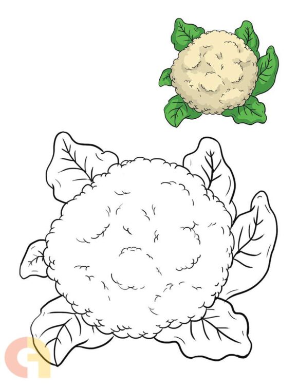 ⁦Vegetables Coloring Book⁩ - الصورة ⁦3⁩