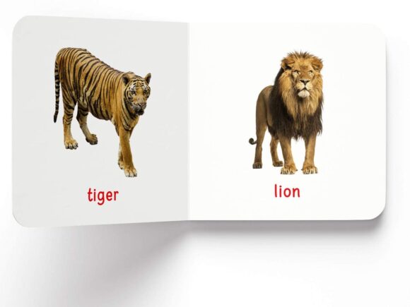 ⁦Wild Animals⁩ - الصورة ⁦4⁩